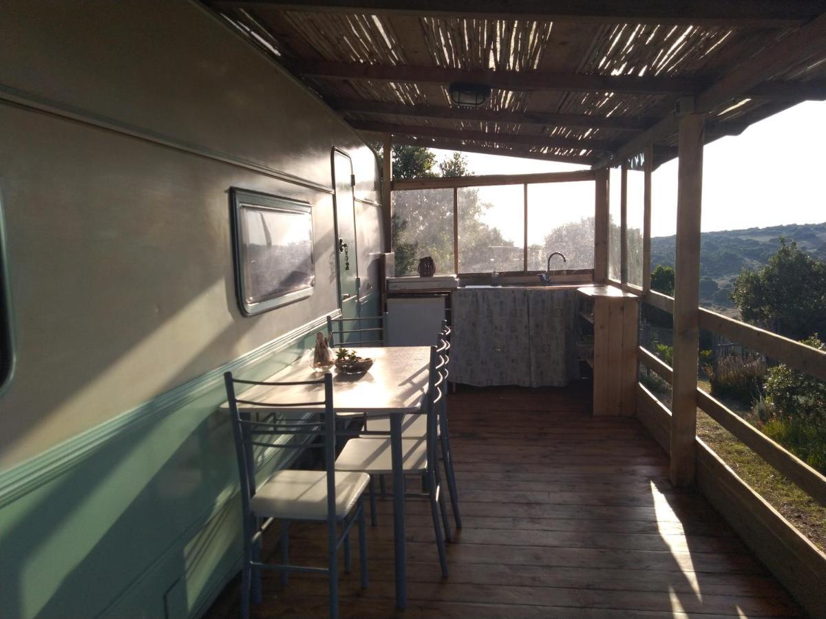 La Cera Farm Camping B&B Santa Teresa Gallura Exterior foto